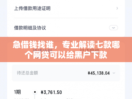 急借钱找谁，专业解读七款哪个网贷可以给黑户下款