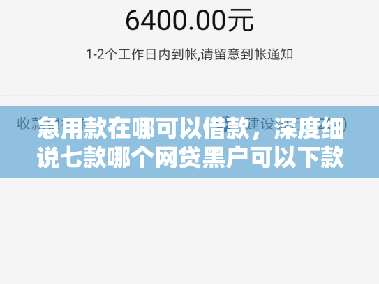 急用款在哪可以借款，深度细说七款哪个网贷黑户可以下款的