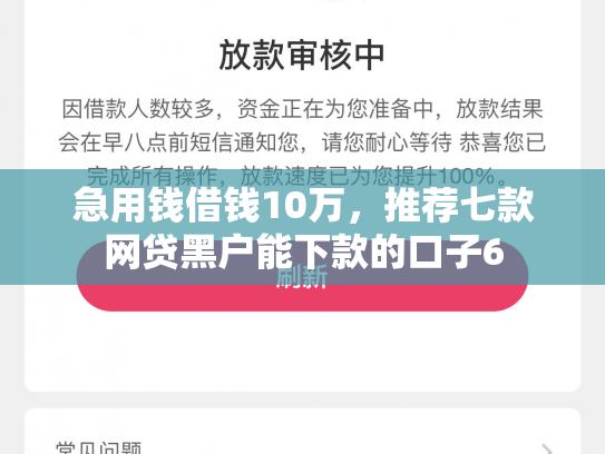 急用钱借钱10万，推荐七款网贷黑户能下款的口子6