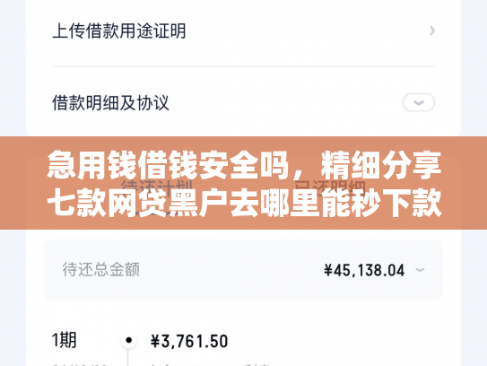 急用钱借钱安全吗，精细分享七款网贷黑户去哪里能秒下款