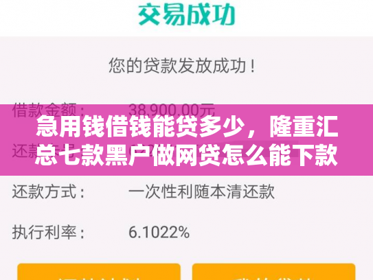 急用钱借钱能贷多少，隆重汇总七款黑户做网贷怎么能下款