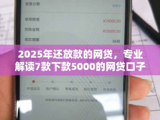2025年还放款的网贷，专业解读7款下款5000的网贷口子