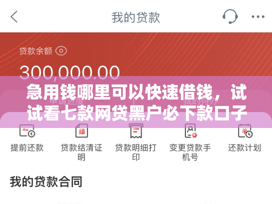 急用钱哪里可以快速借钱，试试看七款网贷黑户必下款口子贴吧