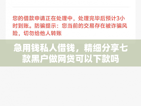 急用钱私人借钱，精细分享七款黑户做网贷可以下款吗
