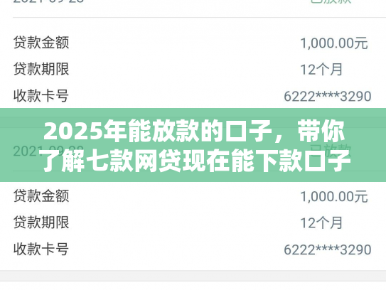 2025年能放款的口子，带你了解七款网贷现在能下款口子