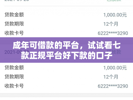 成年可借款的平台，试试看七款正规平台好下款的口子