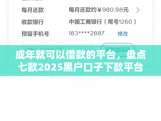 成年就可以借款的平台，盘点七款2025黑户口子下款平台