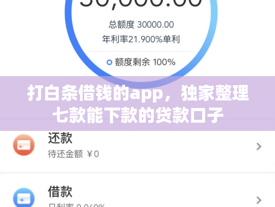 打白条借钱的app，独家整理七款能下款的贷款口子