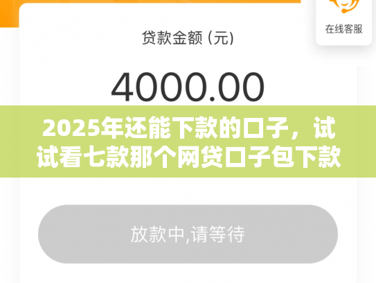 2025年还能下款的口子，试试看七款那个网贷口子包下款