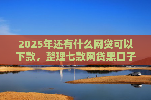 2025年还有什么网贷可以下款，整理七款网贷黑口子必下款