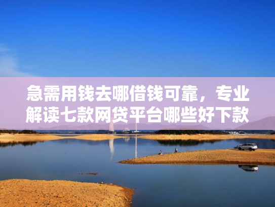 急需用钱去哪借钱可靠，专业解读七款网贷平台哪些好下款黑户的
