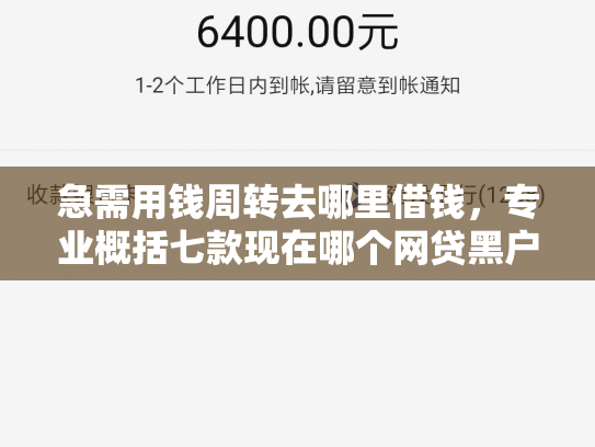 急需用钱周转去哪里借钱，专业概括七款现在哪个网贷黑户能下款