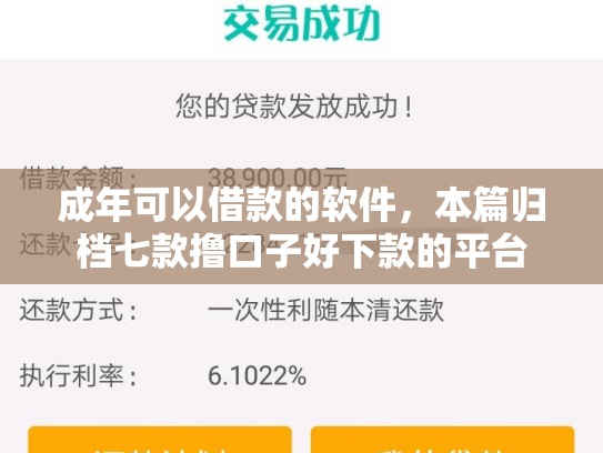 成年可以借款的软件，本篇归档七款撸口子好下款的平台