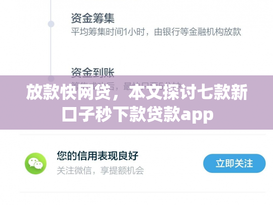 放款快网贷，本文探讨七款新口子秒下款贷款app