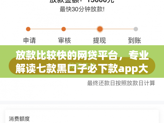 放款比较快的网贷平台，专业解读七款黑口子必下款app大全