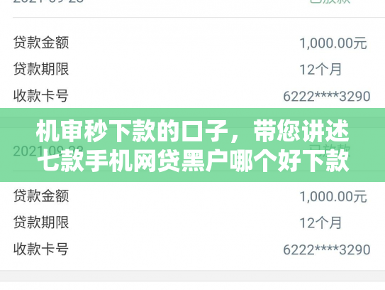 机审秒下款的口子，带您讲述七款手机网贷黑户哪个好下款