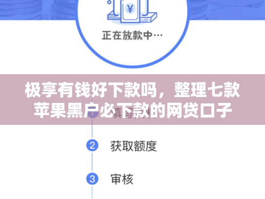 极享有钱好下款吗，整理七款苹果黑户必下款的网贷口子