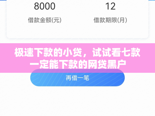 极速下款的小贷，试试看七款一定能下款的网贷黑户