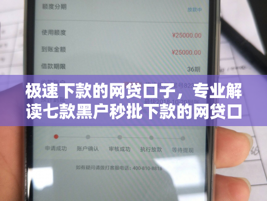 极速下款的网贷口子，专业解读七款黑户秒批下款的网贷口子