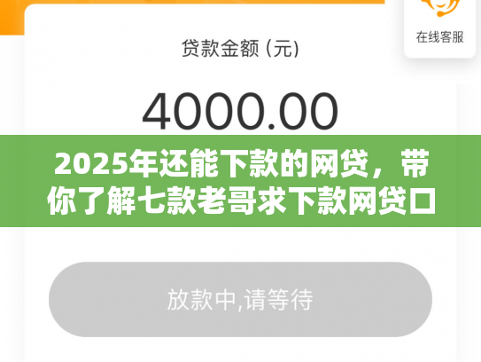 2025年还能下款的网贷，带你了解七款老哥求下款网贷口子