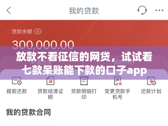 放款不看征信的网贷，试试看七款呆账能下款的口子app