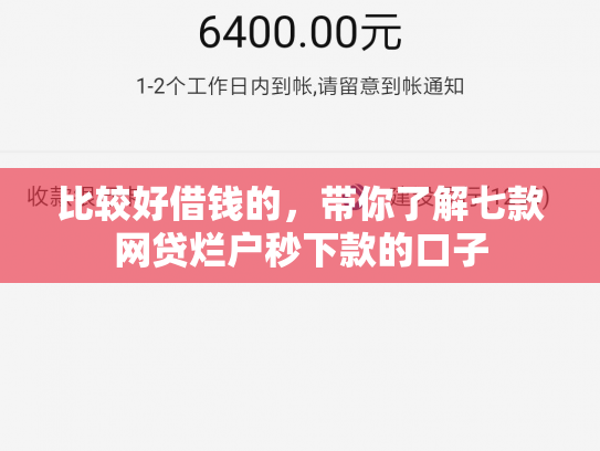 比较好借钱的，带你了解七款网贷烂户秒下款的口子