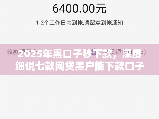 2025年黑口子秒下款，深度细说七款网贷黑户能下款口子