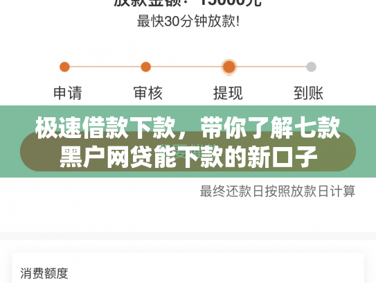 极速借款下款，带你了解七款黑户网贷能下款的新口子