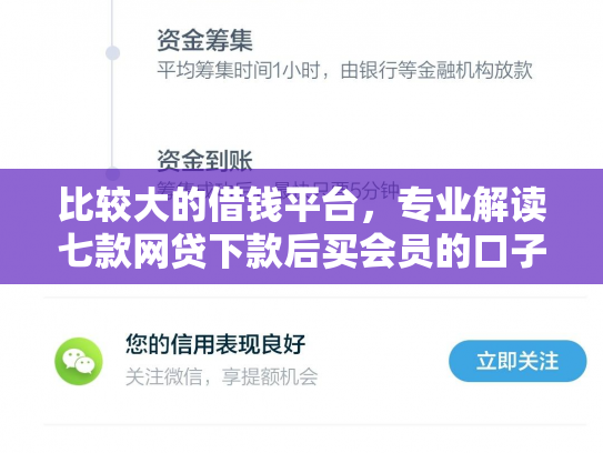 比较大的借钱平台，专业解读七款网贷下款后买会员的口子