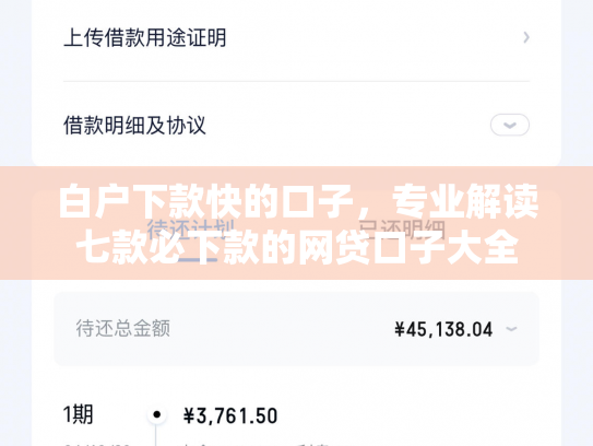 白户下款快的口子，专业解读七款必下款的网贷口子大全