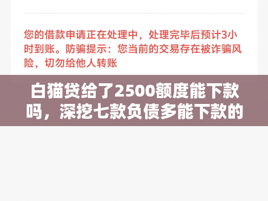 白猫贷给了2500额度能下款吗，深挖七款负债多能下款的网贷口子