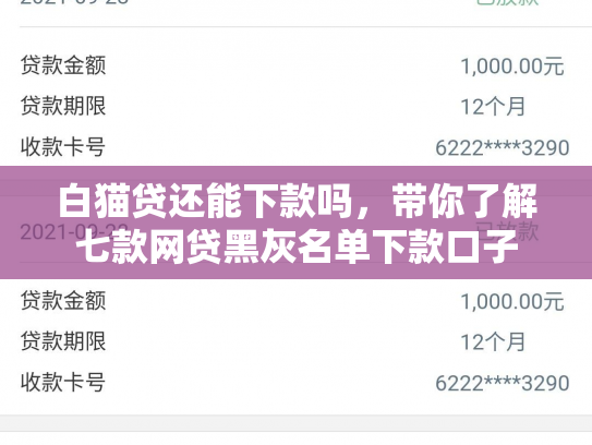 白猫贷还能下款吗，带你了解七款网贷黑灰名单下款口子