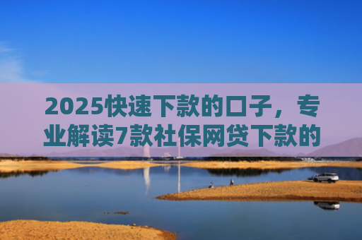 2025快速下款的口子，专业解读7款社保网贷下款的口子