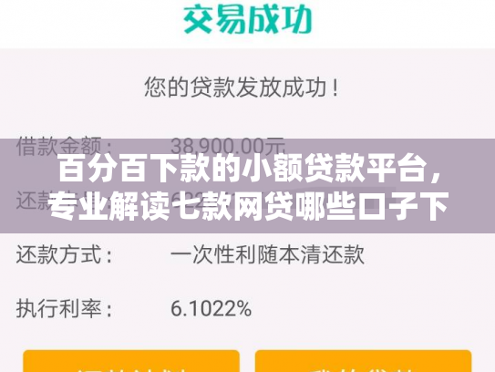 百分百下款的小额贷款平台，专业解读七款网贷哪些口子下款额度大