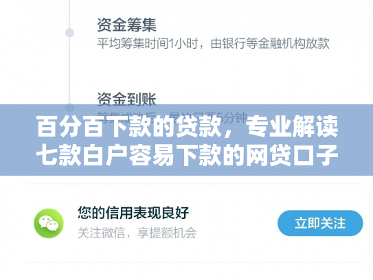 百分百下款的贷款，专业解读七款白户容易下款的网贷口子