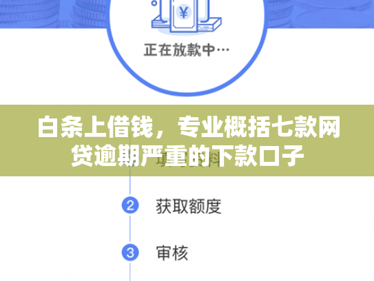 白条上借钱，专业概括七款网贷逾期严重的下款口子