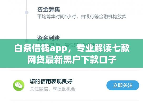 白条借钱app，专业解读七款网贷最新黑户下款口子