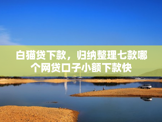 白猫贷下款，归纳整理七款哪个网贷口子小额下款快