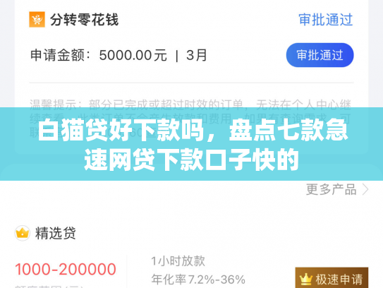 白猫贷好下款吗，盘点七款急速网贷下款口子快的