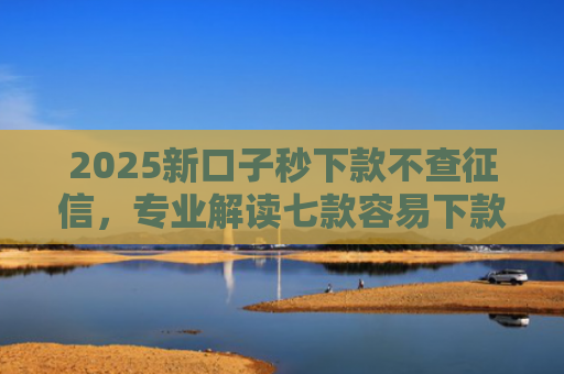 2025新口子秒下款不查征信，专业解读七款容易下款的大额网贷口子
