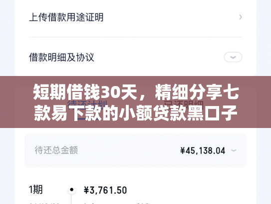 短期借钱30天，精细分享七款易下款的小额贷款黑口子