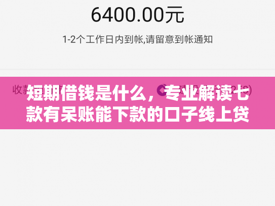 短期借钱是什么，专业解读七款有呆账能下款的口子线上贷款吗