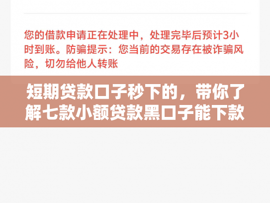 短期贷款口子秒下的，带你了解七款小额贷款黑口子能下款吗