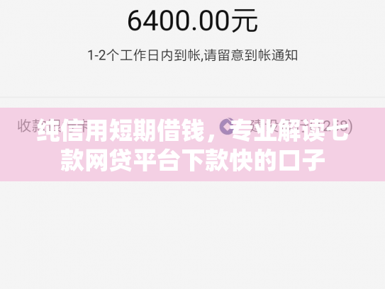 纯信用短期借钱，专业解读七款网贷平台下款快的口子
