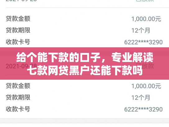 给个能下款的口子，专业解读七款网贷黑户还能下款吗