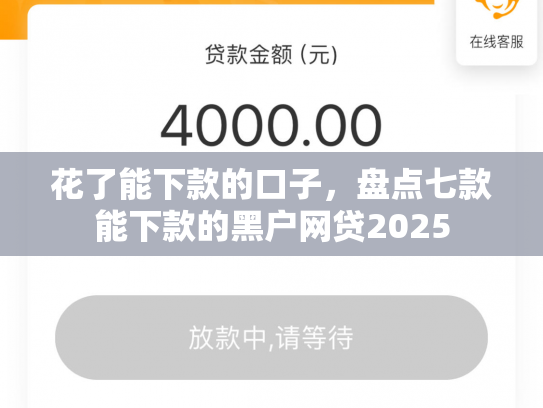 花了能下款的口子，盘点七款能下款的黑户网贷2025