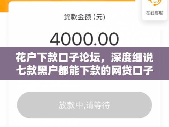 花户下款口子论坛，深度细说七款黑户都能下款的网贷口子
