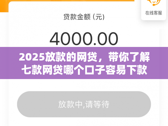 2025放款的网贷，带你了解七款网贷哪个口子容易下款