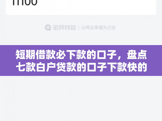 短期借款必下款的口子，盘点七款白户贷款的口子下款快的