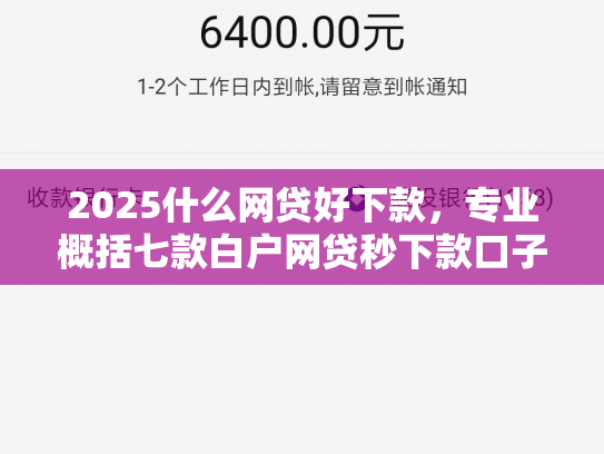2025什么网贷好下款，专业概括七款白户网贷秒下款口子